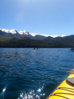 Kayak por el Lago Moreno - Imagen 2