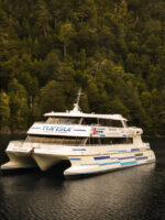 Puerto Blest y Cascada “Los Cantaros” Sin Traslado - Imagen 2