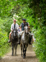 Cabalgata con vista al Cerro López - Aventura entre bosques y miradores del Circuito Chico