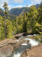 Puerto Blest y Cascada “Los Cantaros” Sin Traslado