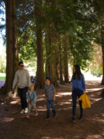 Navegación por Nahuel Huapi: Isla Victoria y Bosque de Arrayanes sin traslado - Imagen 4