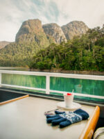 Puerto Blest y Cascada “Los Cantaros” + Lago Frias sin Traslado