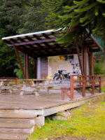 Puerto Blest y Cascada “Los Cantaros” Sin Traslado - Imagen 4